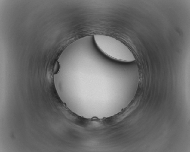 X0000114520285200910190956