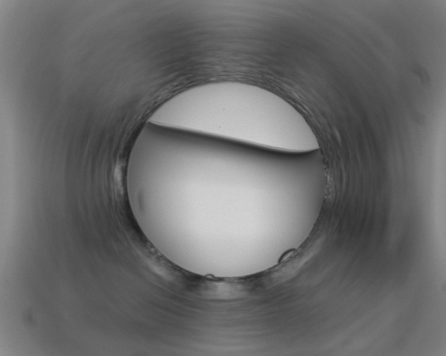 X0000114520286200910190956
