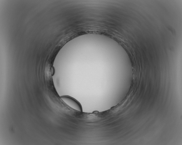 X0000114520287200910190956