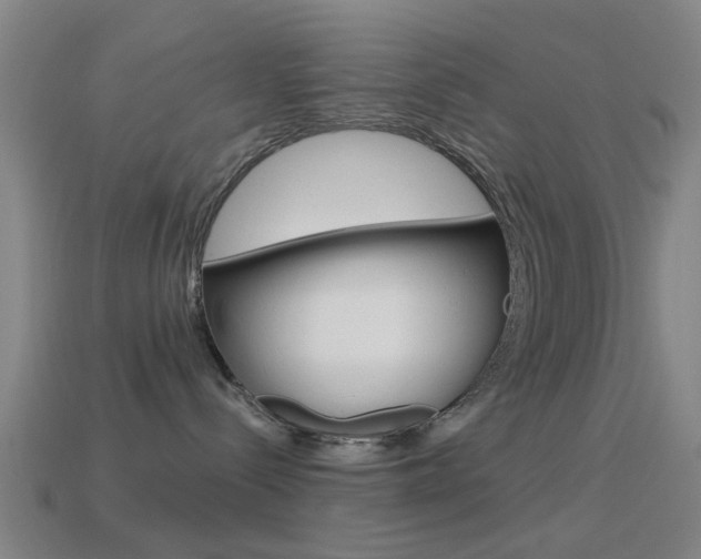 X0000114520288200910190956