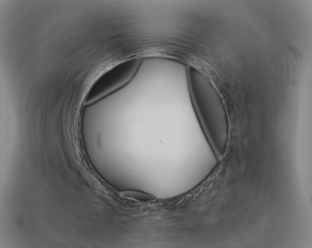 X0000114520289200910190955