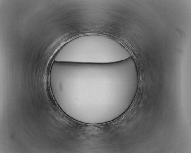 X0000114520290200910190955