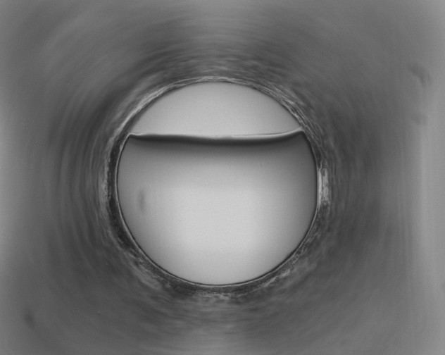 X0000114520291200910190955