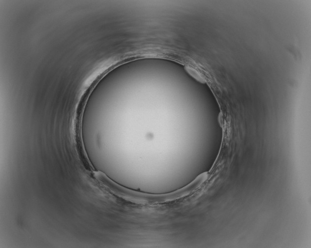 X0000114520292200910190955