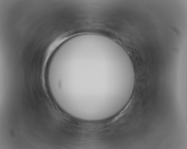 X0000114520294200910190955