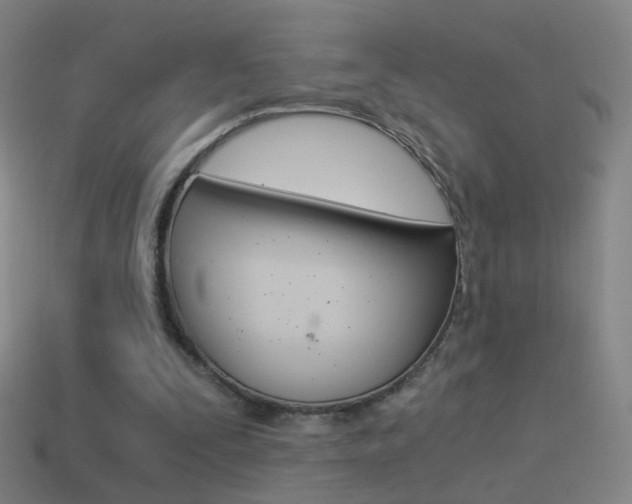 X0000114520295200910190955