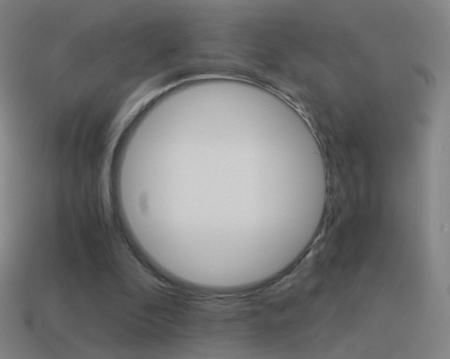 X0000114520296200910190955