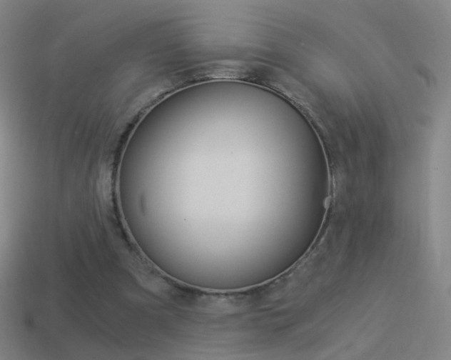 X0000114520297200910190955