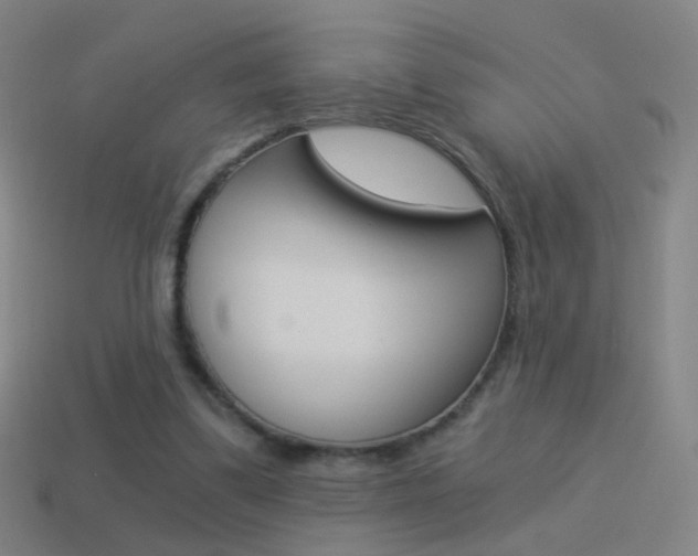 X0000114520299200910190955