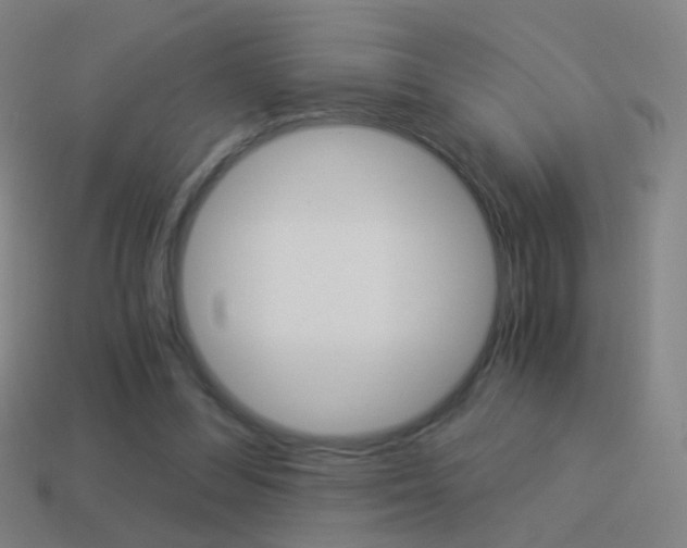 X0000114520300200910190955