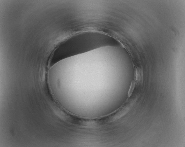 X0000114520301200910190955