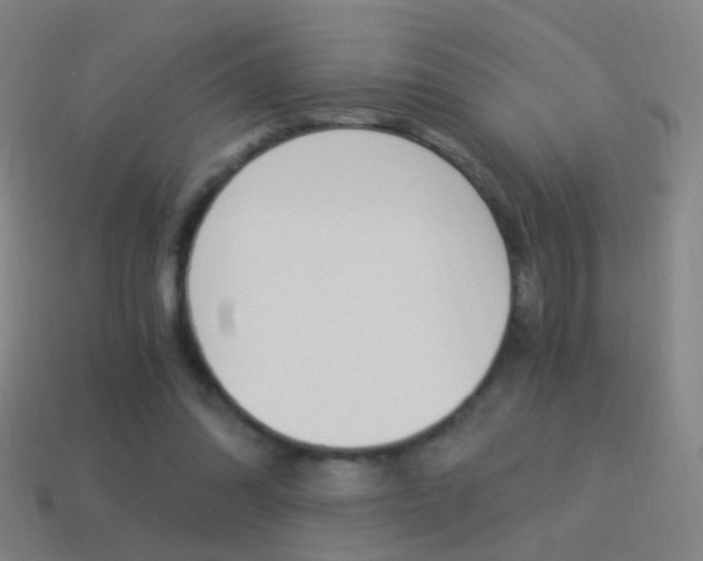 X0000114520302200910190955
