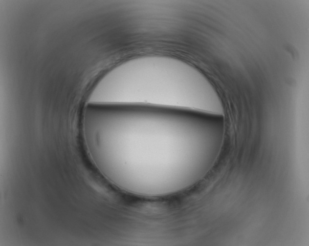 X0000114520303200910190955