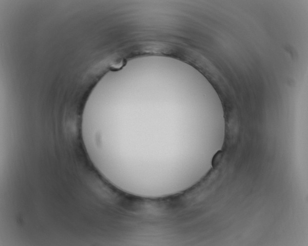 X0000114520305200910190955