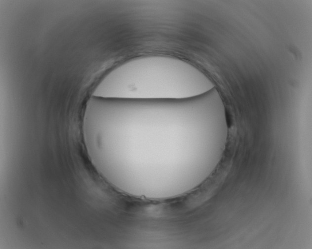 X0000114520306200910190955