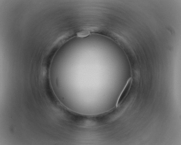 X0000114520308200910190955