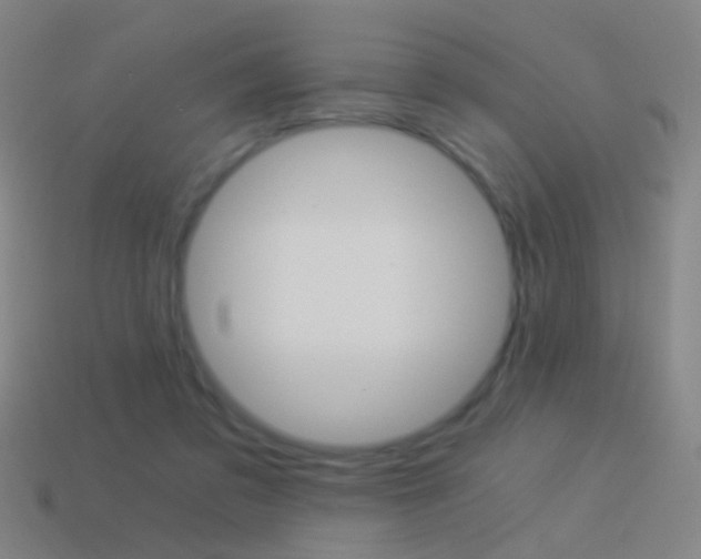 X0000114520309200910190955