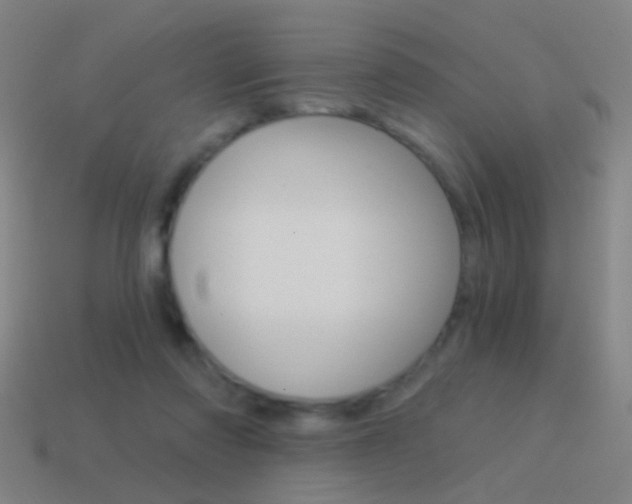 X0000114520310200910190955