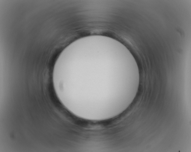 X0000114520311200910190955
