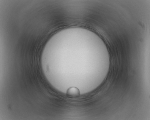 X0000114520312200910190955
