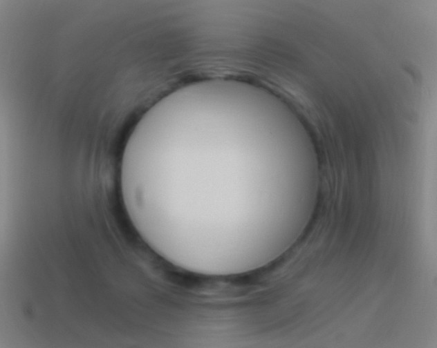 X0000114520315200910190955