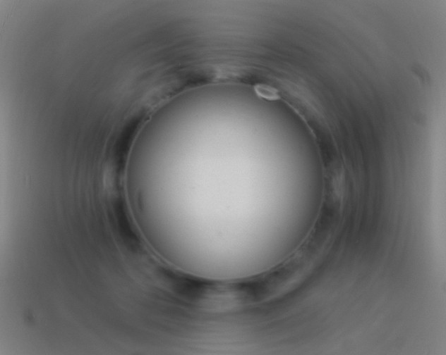 X0000114520316200910190955
