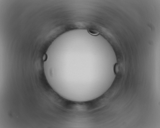 X0000114520317200910190955