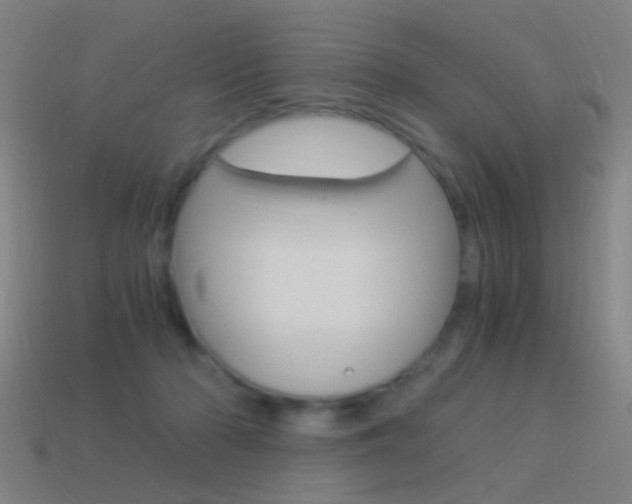 X0000114520318200910190955