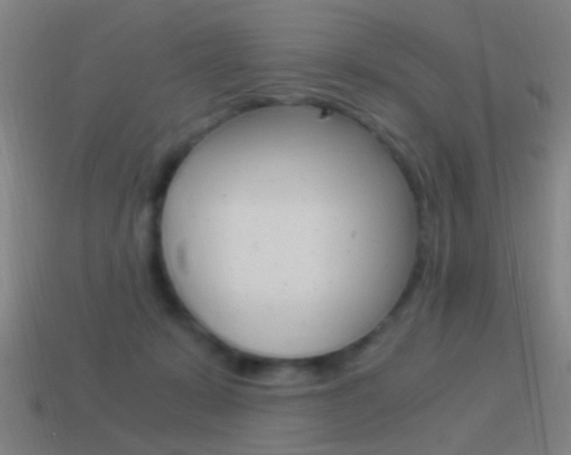 X0000114520319200910190955