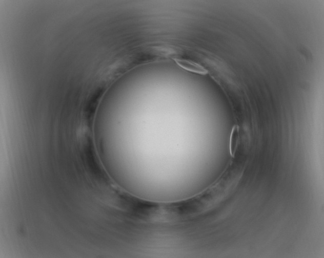 X0000114520320200910190955