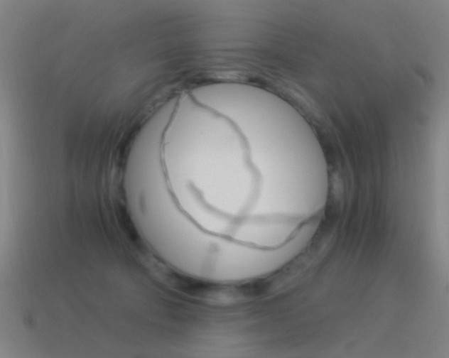 X0000114520322200910190955