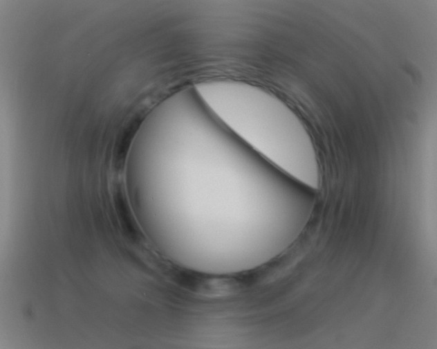 X0000114520324200910190955