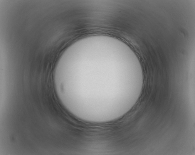X0000114520325200910190955