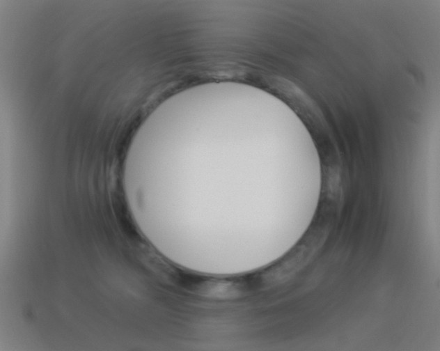 X0000114520326200910190955