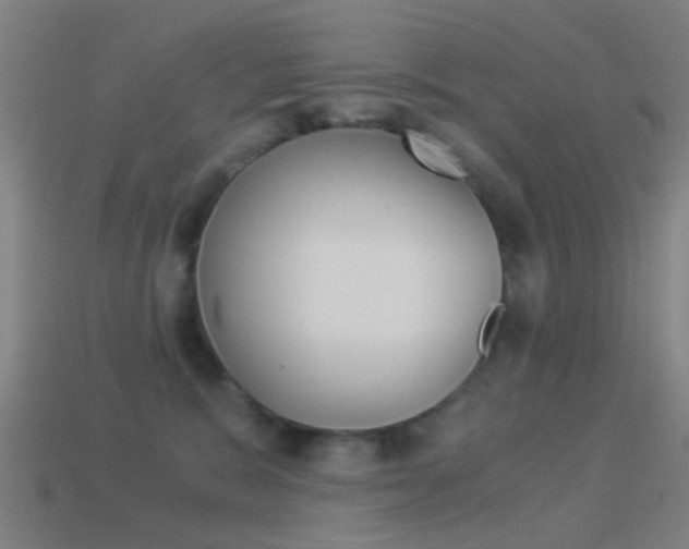 X0000114520327200910190955