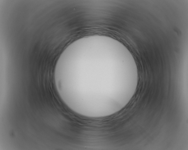 X0000114520328200910190955