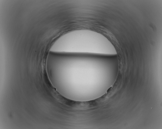 X0000114520329200910190955