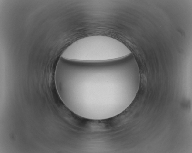 X0000114520331200910190955