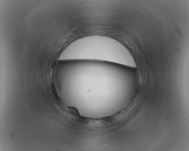 X0000114520332200910190955