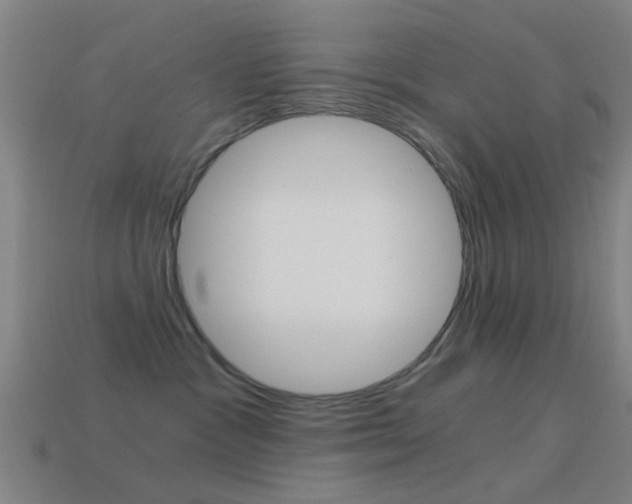 X0000114520333200910190955