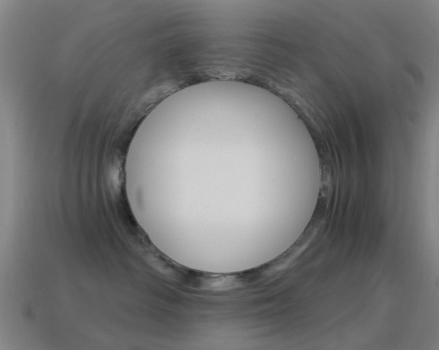 X0000114520334200910190955