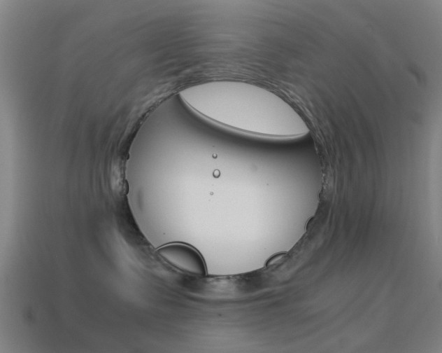 X0000114520335200910190955