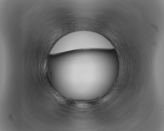 X0000114520336200910190955