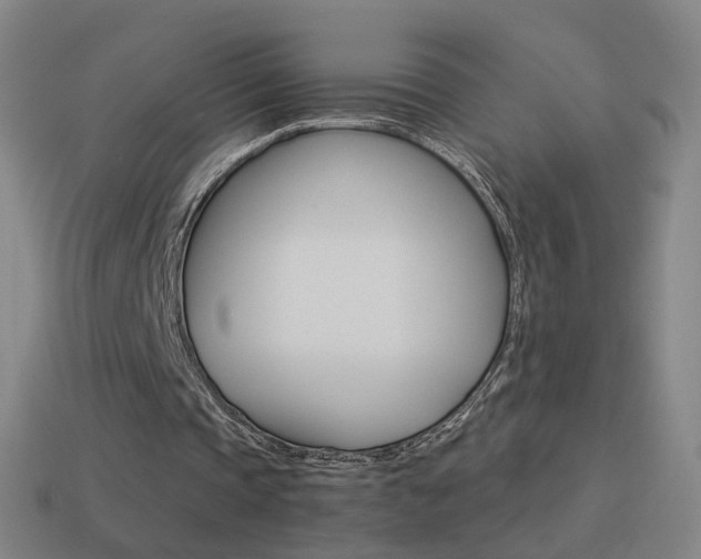 X0000114520337200910190954