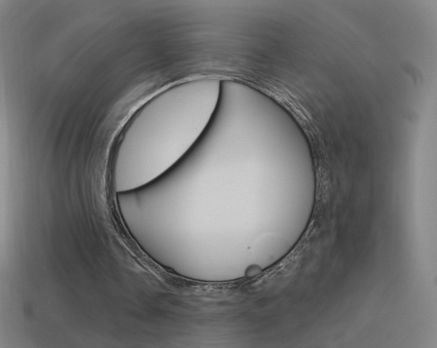 X0000114520338200910190954
