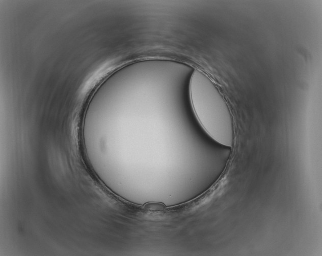 X0000114520341200910190954