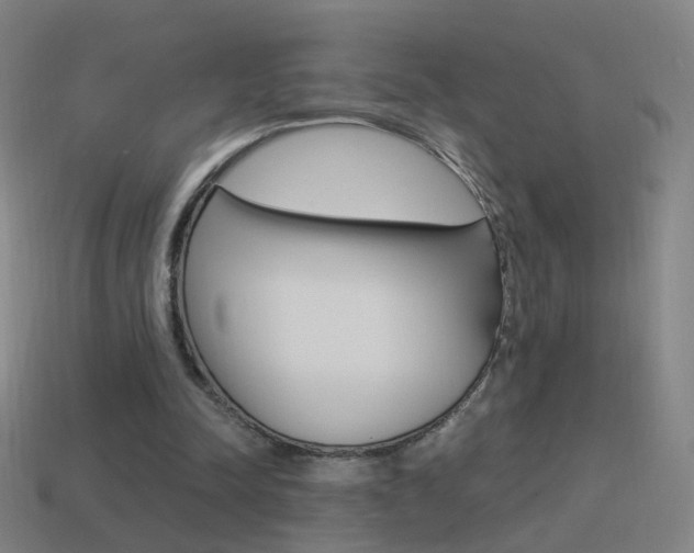 X0000114520342200910190954