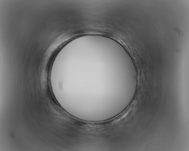 X0000114520343200910190954