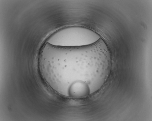 X0000114520346200910190954