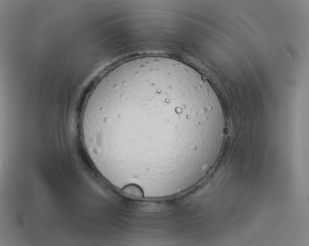 X0000114520347200910190954